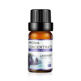 10ML Aroma Humidifier Special Essential Oil (Option: 10ml-Lavender Floral Fragrance)